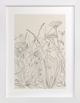 Field of wild flowers II Fine Art Prints