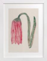 The Morning Garden 2 Fine Art Prints