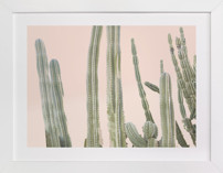 Peachy Cactus Print
