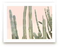 Peachy Cactus Print by Wilder California