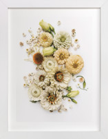 Peaceful Heart Fine Art Prints