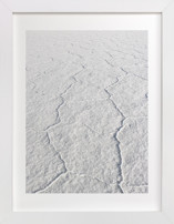 Salt of the Earth Fine Art Prints