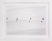 Into the white Fine Art Prints