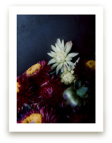 Dark Fall Flowers by Katie Buckman