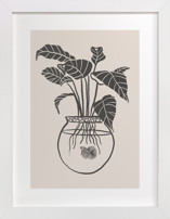 Betta Fish Fine Art Prints