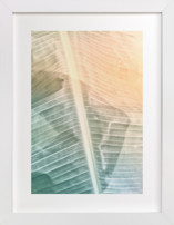 Catching Light Fine Art Prints