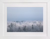 Frosted Horizon