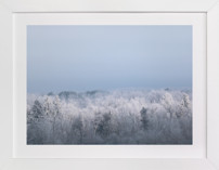 Frosted Horizon