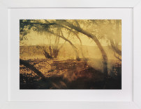 EAST Fine Art Prints