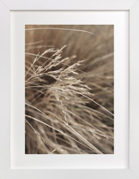 Summertime 2 Fine Art Prints