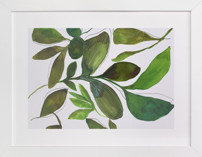 Verdant Whispers From The Greenhouse Fine Art Prints