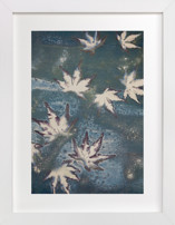 Reverie I Fine Art Prints