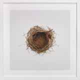 The Architect Fine Art Prints