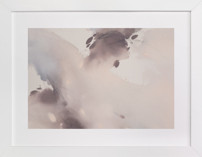 Doves in Flight 2 Fine Art Prints