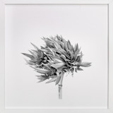 Abode 2 Fine Art Prints