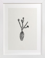 Flower stems Fine Art Prints