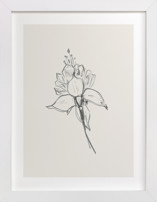 Fuchsia 2 of 2 Diptych