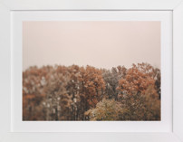 Oak Leaves and Snowflakes