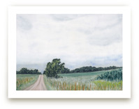 Timeless by Hettie Roberts