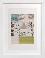 Nature in Pieces Fine Art Prints
