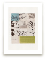 Nature in Pieces by Alisa Galitsyna