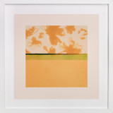 Fusion 1 Fine Art Prints