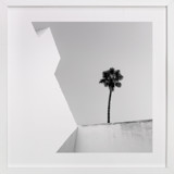 Structured Palm Fine Art Prints