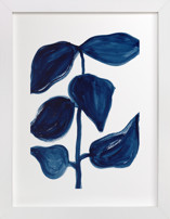 Indigo Plant