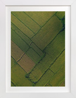 Above the Paddy Fine Art Prints