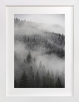 Into the Fog Fine Art Prints