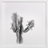 Abode 1 Fine Art Prints
