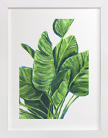 Tropical plants II Fine Art Prints