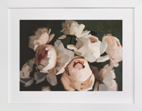 Popping Peonies Fine Art Prints