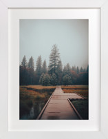 Misty Fine Art Prints