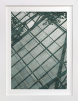 Weaves of shadows I Fine Art Prints