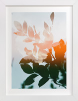 Season's Change Fine Art Prints