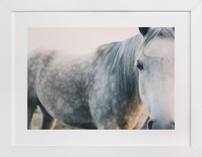 Seeing Fine Art Prints