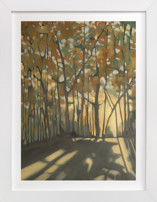 Here Comes the Sun Fine Art Prints