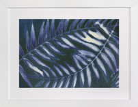 leaving shelter Fine Art Prints