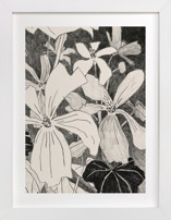 Campo De Malvas 2 Fine Art Prints