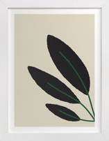 Moussonnerie II Fine Art Prints