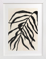 Solitaire Plant