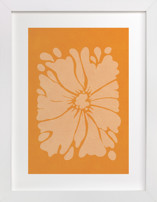 Vibrance No. 1 Fine Art Prints