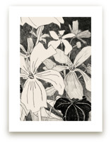 Campo De Malvas 2 by Catilustre