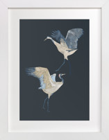 Crane dance Fine Art Prints