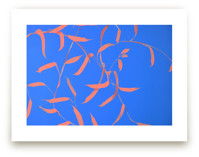 Breeze by Sonal Nathwani