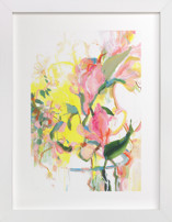 Zesty Fine Art Prints