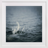 Just off the dock II Fine Art Prints