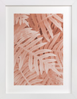 Pink Ferns Fine Art Prints