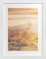 Desert Roadtrip Fine Art Prints